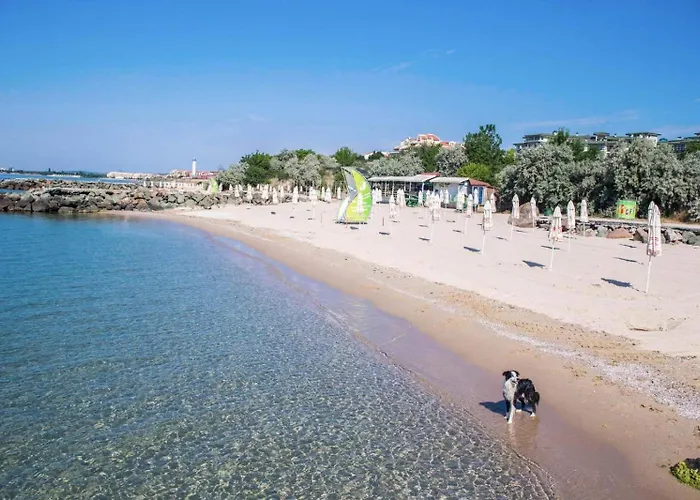 Rutland Bay 아파트